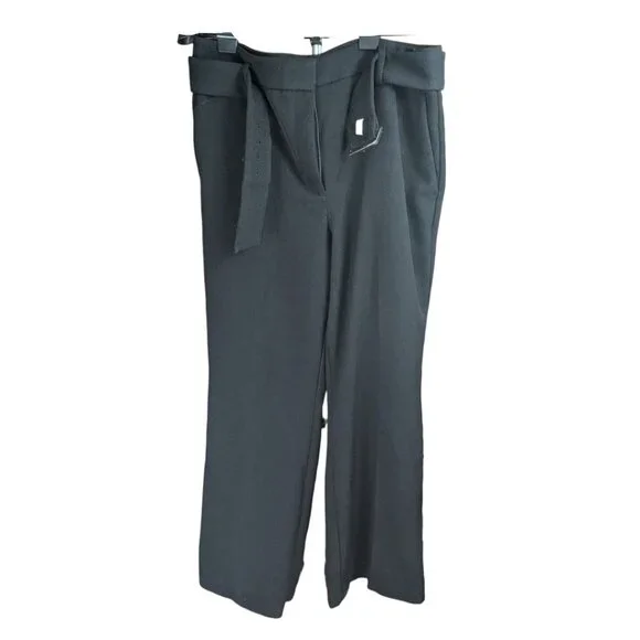 Ann Taylor Pants w Belt Skinny Corduroy Black High Rise High Waist Sz 14 - Picture 2 of 10